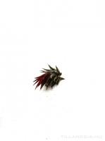 Tillandsia ionantha rubra - kötözetlen
